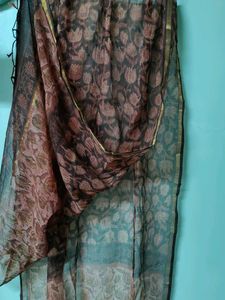 Kota Doria Dupatta in Vanaspati print✨