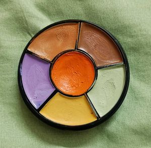 Insight Pro Concealer Palette