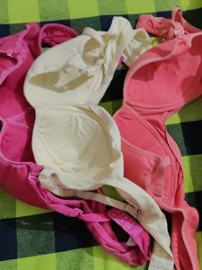 sponge cup bra