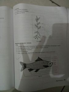 Biology Lab Manual Class 12