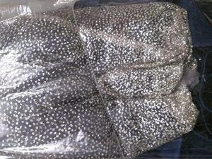 Wedding Gown