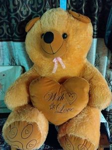 Teddy Bear 🐨