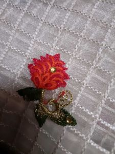 Beautiful Organza Saree
