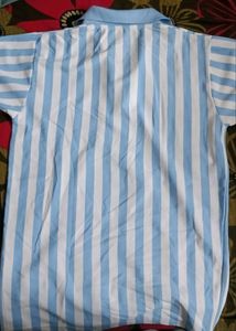 Striped Polo Shirt