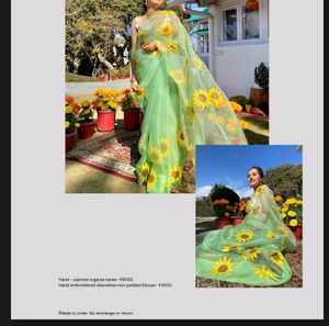 Hand Painted Chiffon Saree