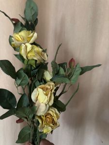 Yellow Roses