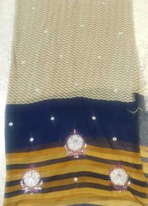 Embroidered Chevron &amp; Striped Sari