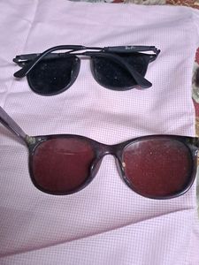 Ray Ban Sun Glasses