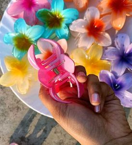 6 Pieces Of Pinteresty Hibiscus Flower Clips