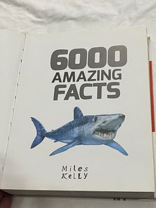 Brand New Encyclopaedias Miles Kelly 6000 Amazing Facts