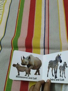 Animals And Their Babies