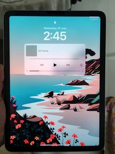 iPad Air 4th Gen (64gb Wifi)