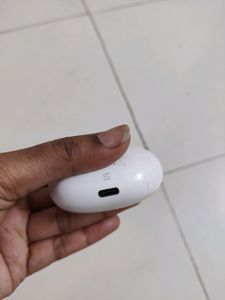 Boat Air Buds