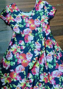 Floral Print Skater Dress
