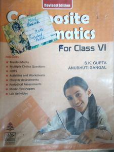 Class 6 Mathematics Book Composite Mathematic