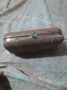 Sparkly Evening Clutch