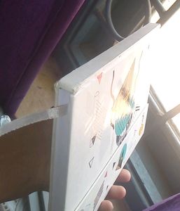 A Beautiful Diary