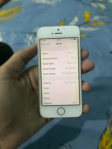 Apple iPhone 5S