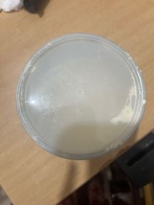 Veltos White Chocolate Wax