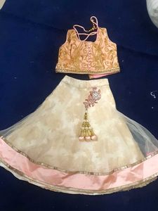 Very Elegent Chaniya Choli