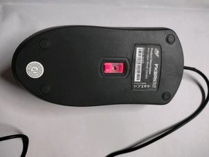 Computer Mouse