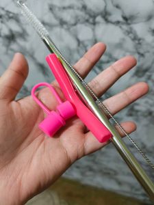House Of Quirk StainlessSteel&amp; Plastic Straw Combo