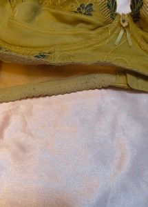 Elegant Embroidered Bra