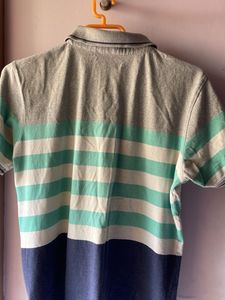 USPA Striped Polo