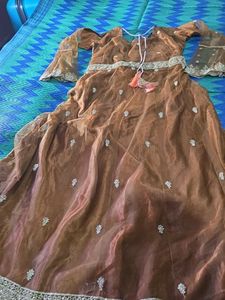 Elegant Brown Embellished Ethnic Gown