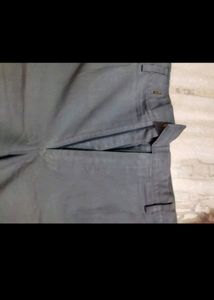Pant