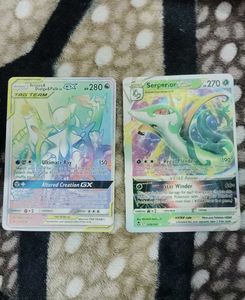 Pokemon TCG Cards - Arceus & Serperior