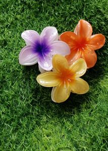 Floral Design Hair Clips Pack Of 3