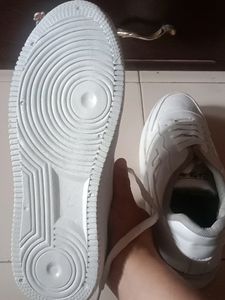 Brand New White Casual Sneakers