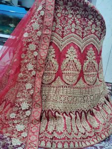 Gorgeous Lehenga Choli
