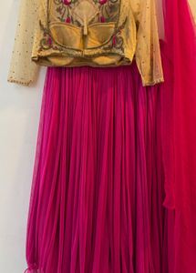 Pink Embellished Lehenga Choli