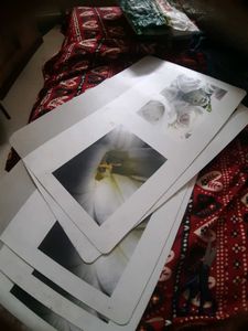 Dining Table Mate 6 Pc
