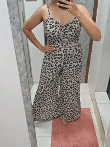 Leopard Print 3 Pc Set