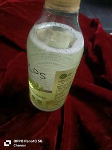 Alps Rosemary Water