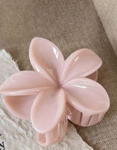 Pinteresty claw clips combo(set of 3)