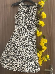 Animal Printed H&amp;M Dress