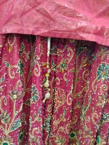 Embroidered Lehenga Choli