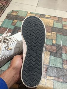 Puma Shoes In New Like Condition