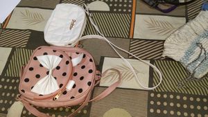 Combo Of 2 Bags