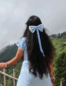 HANDMADE light Blue Big Size BOW Alligator Clip