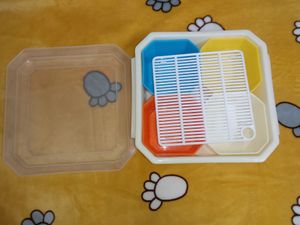 Serving Box/Tray
