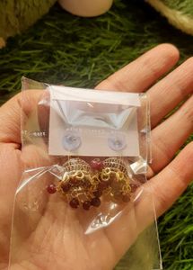 Golden Earrings✨️
