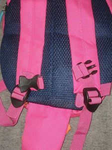 Toddler Bag