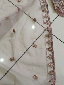 Elegant Ethnic bridal lahenga choli