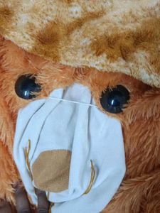 Cute Bear Costume(need to feel cotton)