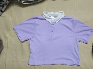 Purple Colour Crop Top